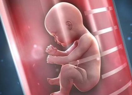 怀化试管婴儿医院哪里可靠，怀化试管婴儿医院哪里可靠些