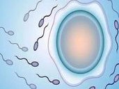 试管促排卵方案常用药物有哪些？这些药物副作用与风险要知道